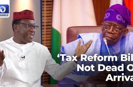 Tinubu’s Tax Reform Payments Not Lifeless On Arrival, Will Be Handed, Says Jibrin