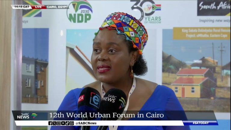 World City Discussion board | Human Settlements minister Mmamoloko Kubayi opens SA’s exhibition in Cairo