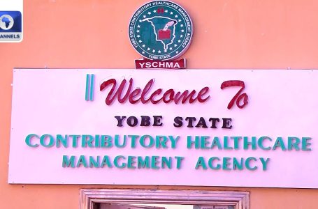 Yobe Govt Validates New Service Constitution For Improved Healthcare Supply