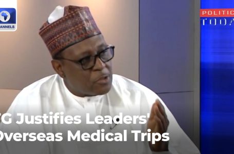 ‘You Can’t Constrain Folks,’ FG Justifies Leaders’ Abroad Medical Journeys