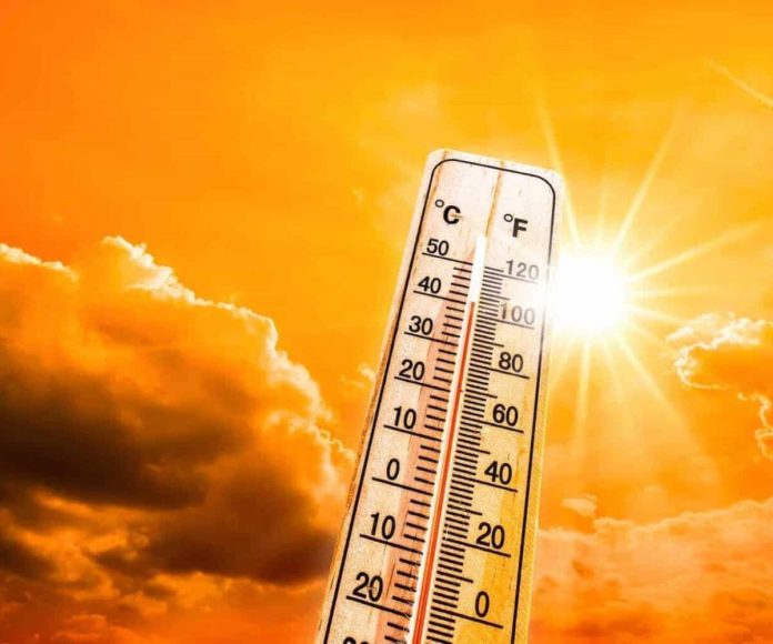 Climate Replace: Heatwave to hit Gauteng from Monday