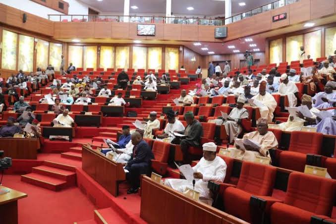 Senate Threatens Non-performing Companies Over 2025 Price range