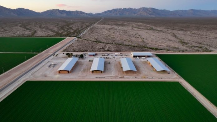 Arizona sues Saudi agency over ‘extreme’ groundwater pumping, saying it is a public nuisance