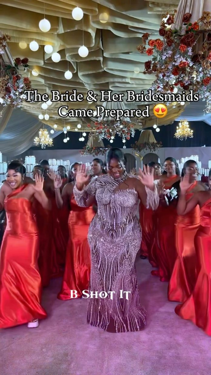 This Bride and Her Ladies Are Serving Squad Objectives With Their Lit Dance Entrance