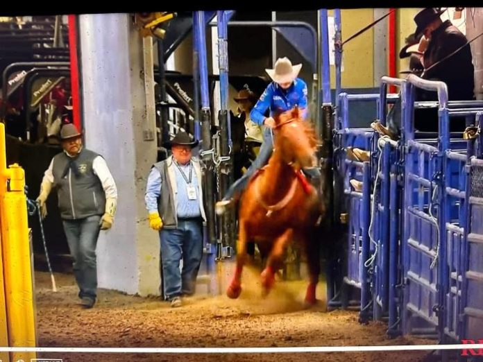 Dona Kay Rule Accident – Professional Barrel Racer Recuperating After Getting Thrown off Horse Valor at NFR 2024