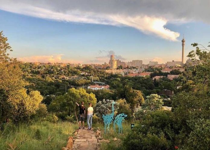 Discover the hidden gems of Melville Koppies: Costs and route choices