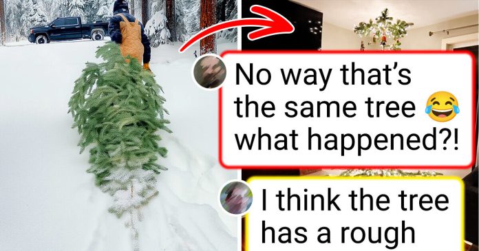 Girl Shares How She Discovered the ‘Good’ Christmas Tree—Solely to Uncover It Wasn’t