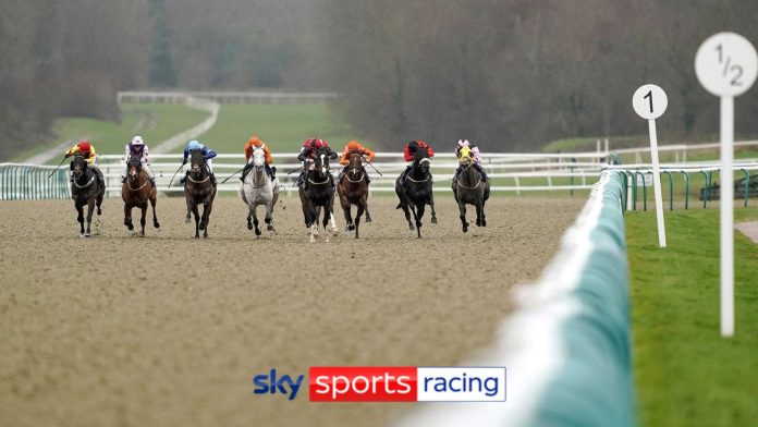 Nicky Hendersons Therapist seeking to rating at Lingfield after good run in Winter Oaks…