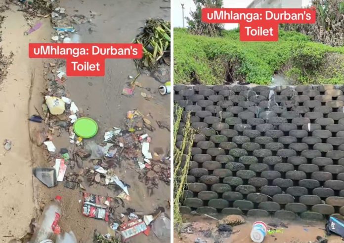 ‘Durban’s bathroom’: Outrage over ‘poop-infested’ Umhlanga seashore [video]