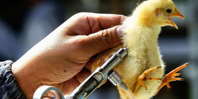 The Obtain: escalating pandemic dangers, and ask us something on Reddit