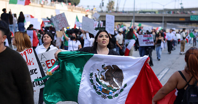 Anti-ICE Protesters Waving Mexican Flags Shut Down Freeway in Downtown L.A.