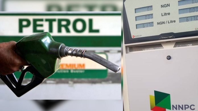 Retailers can’t but cut back petrol worth regardless of Dangote refinery reduce – PETROAN