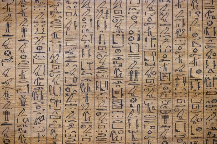 The Edwin Smith Papyrus Sheds Mild on Historic Egyptian Medication