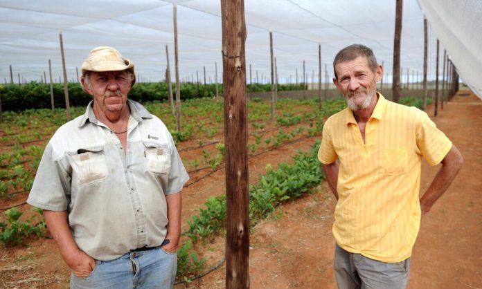 Electronic mail servers crash as 20 000 white South Africans question US resettlement