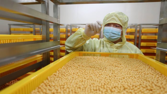 U.S. buyers, Huge Pharma race to search out new medicines in China