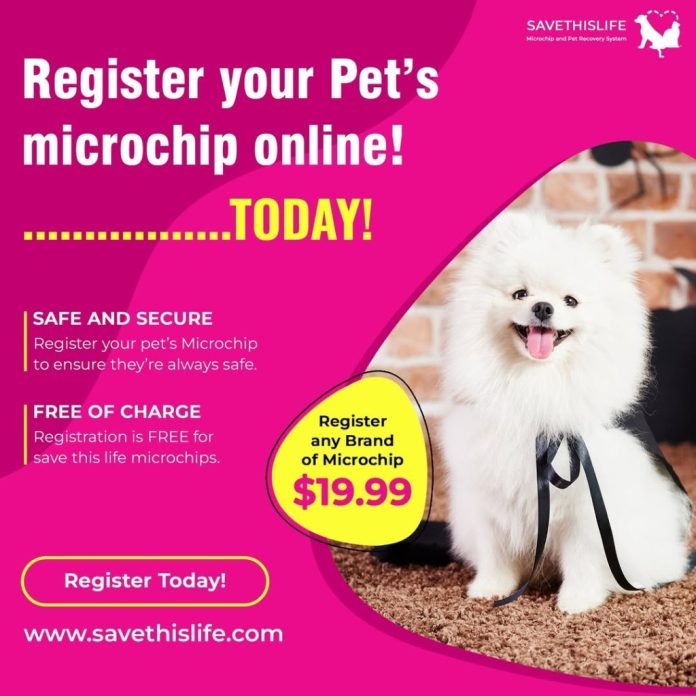 Pet house owners scramble after microchip firm abruptly closes — with out notifying customers