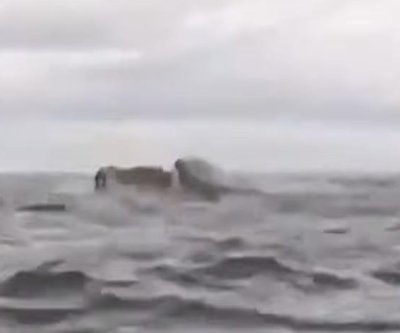 watch-kayaker-results-in-the-mouth-of-humpback-whale.jpg Watch: Kayaker results in the mouth of humpback whale