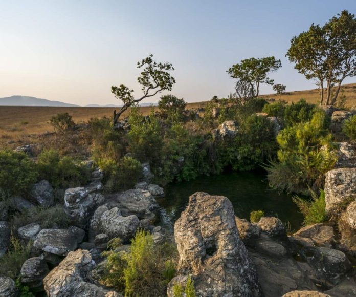 4 budget-friendly issues to do in lovely Mpumalanga