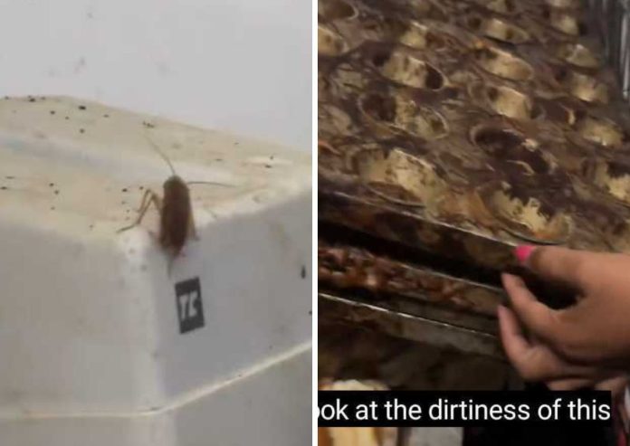 Choose n Pay department shuts after COCKROACHES are present in bakery