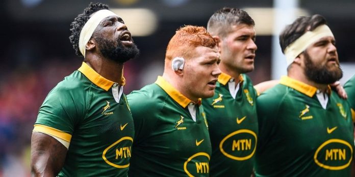 Two Springbok World Cup winners face profession doubts