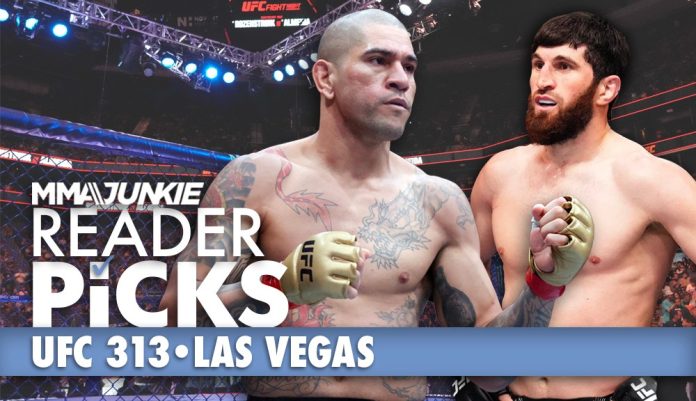 UFC 313: Make your predictions for Alex Pereira vs. Magomed Ankalaev