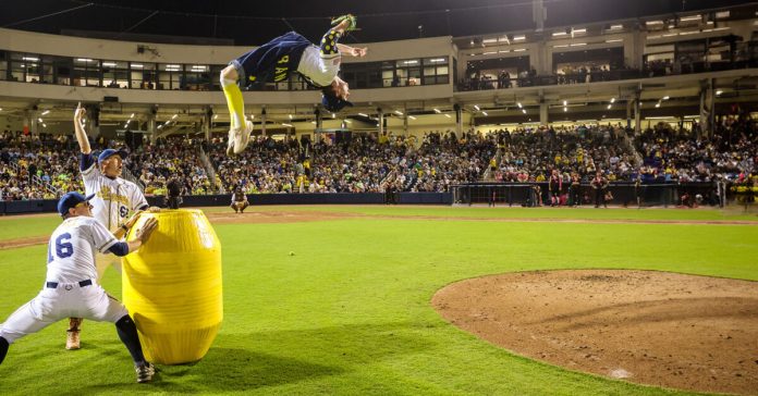 Baseball Gone Bananas