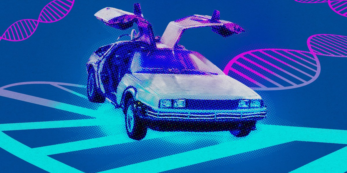 the-obtain-gene-de-extinction-and-ukraines-starlink-connection.jpg The Obtain: gene de-extinction, and Ukraine’s Starlink connection