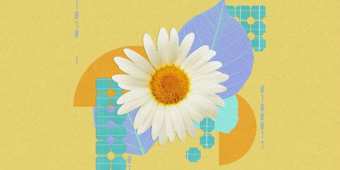 This synthetic leaf makes hydrocarbons out of carbon dioxide