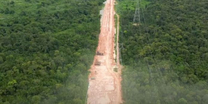 Brazil clears Amazon rainforest to construct freeway for local weather summit