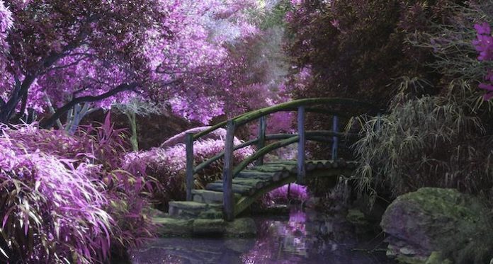 The Present State of Romantasy