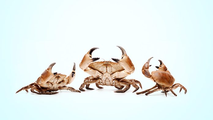 What It Takes to Repair a “Imply” Office