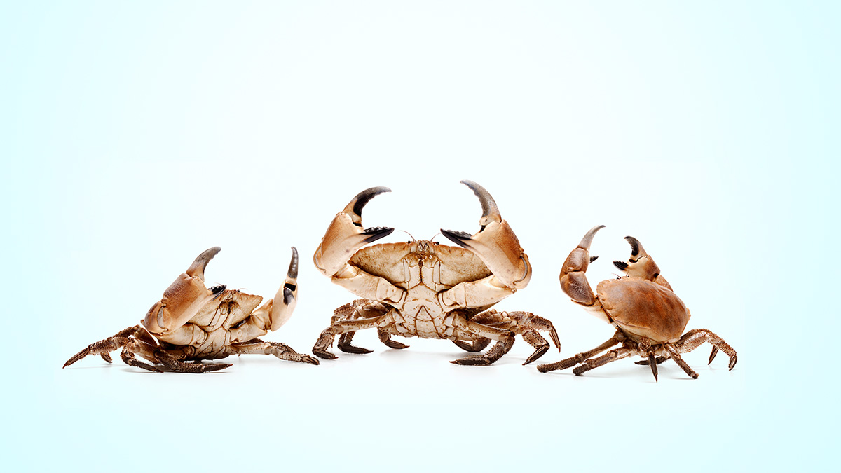 what-it-takes-to-repair-a-imply-office.jpg What It Takes to Repair a “Imply” Office