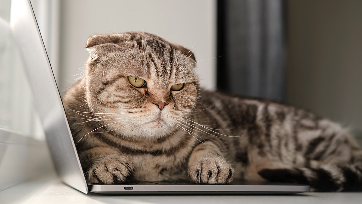 in-a-hunch-at-work-right-heres-tips-on-how-to-inspire-your-self.jpg In a Hunch at Work? Right here’s Tips on how to Inspire Your self.