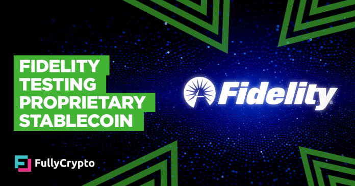 Constancy Testing Proprietary Stablecoin