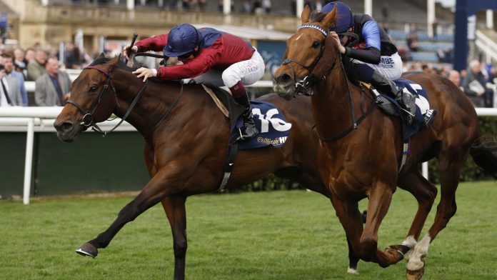Godwinson grabs Lincoln glory on the road