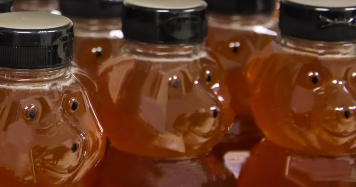 U.S. honey bee deaths soar, and grocery retailer payments may take the hit