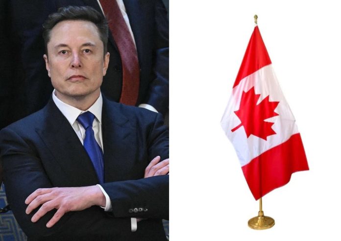 Petition to revoke Elon Musk citizenship features momentum