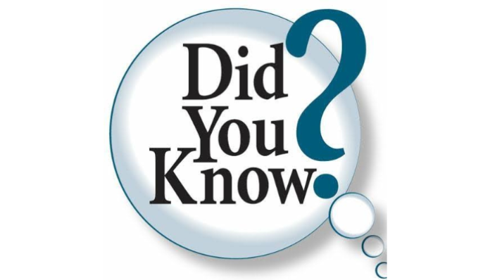 12 random info you didn’t know you wanted till now