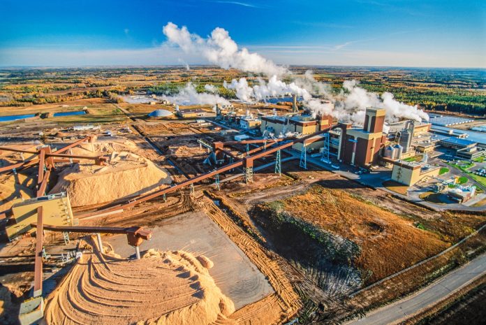 Why Microsoft is shopping for carbon credit from a pulp and paper mill