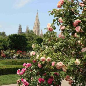 Vienna binds its 2040 local weather neutrality purpose to a regulation