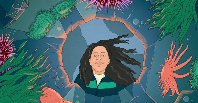 On the fringe of the ocean, a blinding ecosystem is altering quick