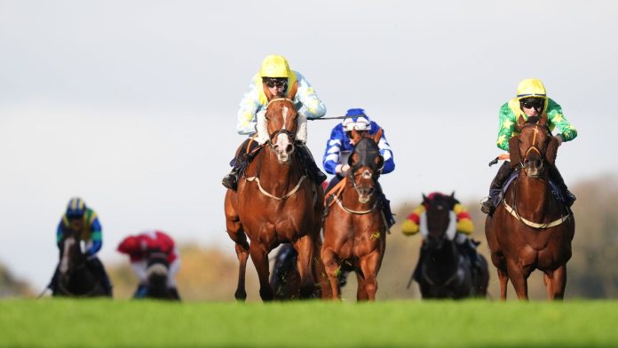 Right this moment on Sky Sports activities Racing: Brighton and Wolverhampton