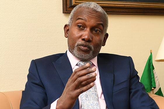 Overseas Affairs Minister Seeks Stronger Nigeria–Brazil Commerce Ties