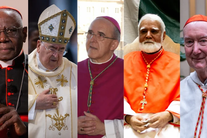 Who Are the Oldest Cardinals within the 2025 Conclave?