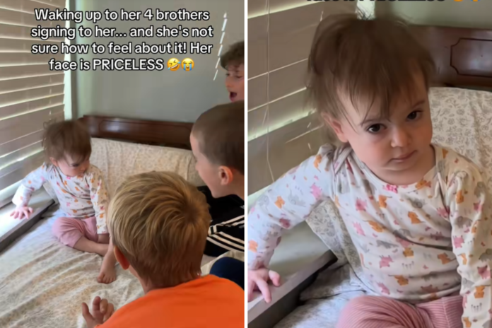 Toddler Wakes as much as 4 Brothers Placing On Present—and Her Face Says It All