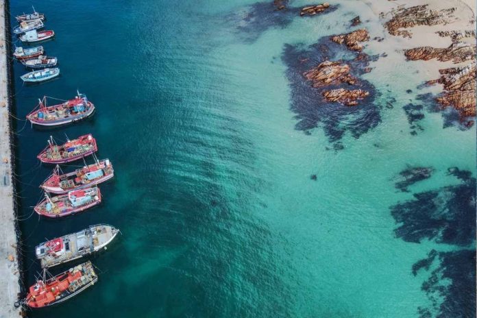 Physique of girl found close to Kalk Bay Harbour