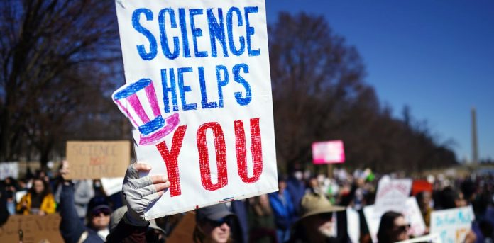 Three scientists discuss what it’s prefer to have analysis funding minimize by the Trump administration
