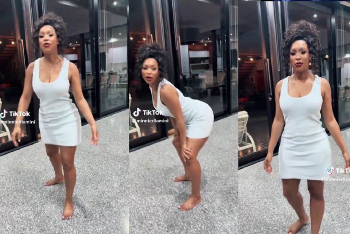 ‘Who wants enemies?’ Minnie Dlamini’s TikTok dance goes viral (video)