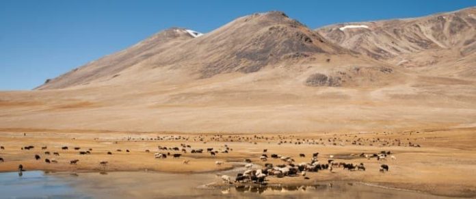 Europe’s Hunt for Pure Sources in Central Asia