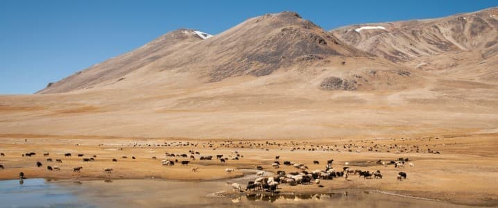 europes-hunt-for-pure-sources-in-central-asia.jpg Europe’s Hunt for Pure Sources in Central Asia